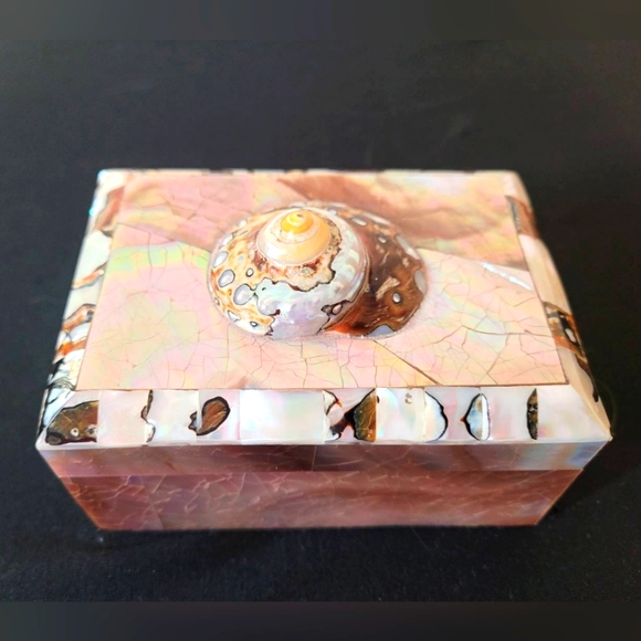 Vintage Other - Turbo Tiger Shell Vintage Penshell Box